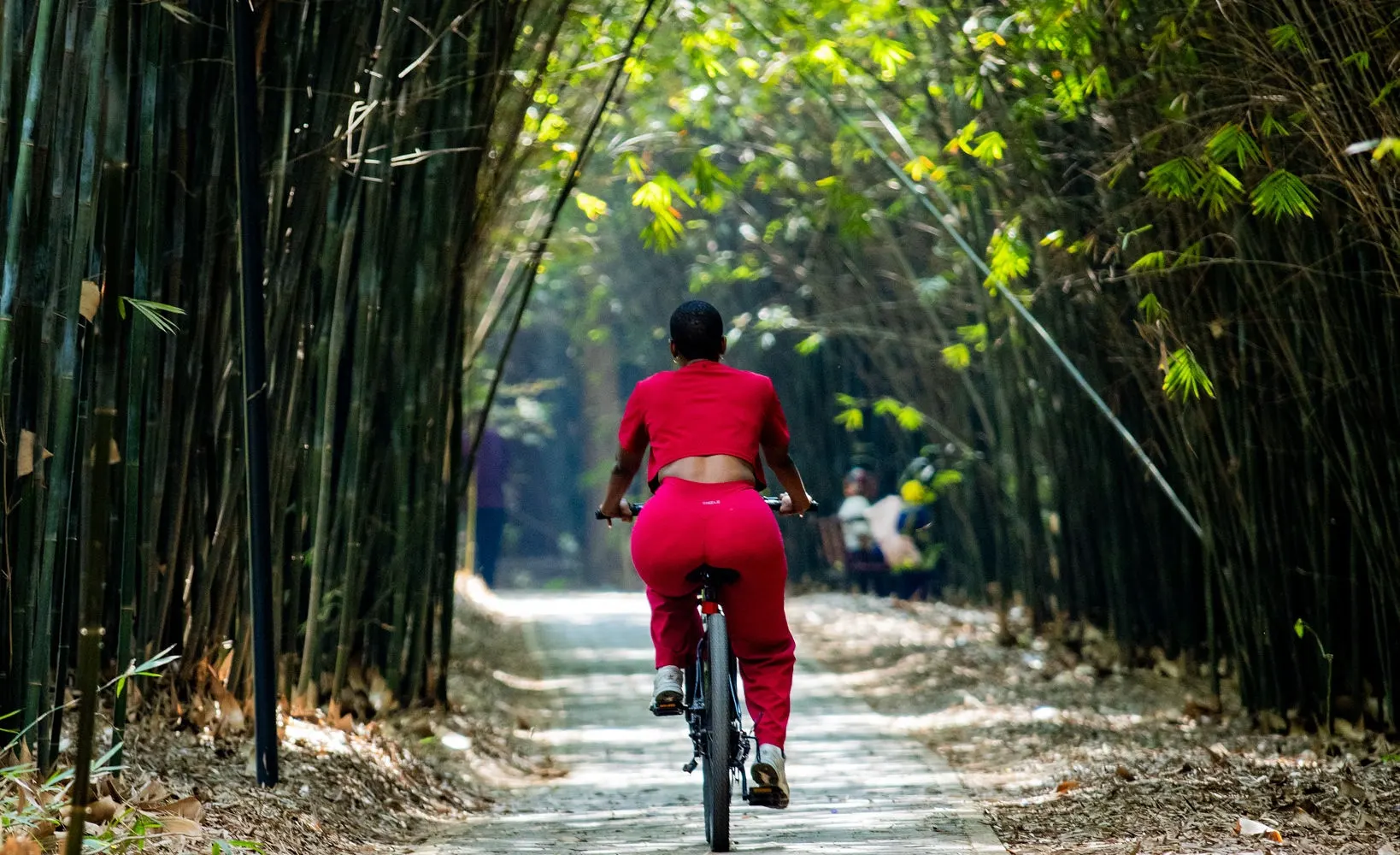 A woman cycling through a bamboo tunnel in the Shield Oversized Crop Top in Burgundy Red
